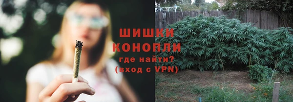 сатива Арсеньев