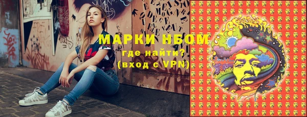 сатива Арсеньев