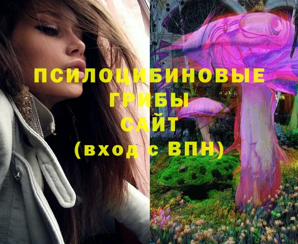 spice Абинск